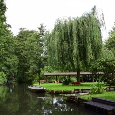 NG体育APP官方下载网址app下载