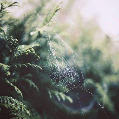 乐鱼app官网最新版下载