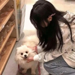 可下分电玩手机app下载